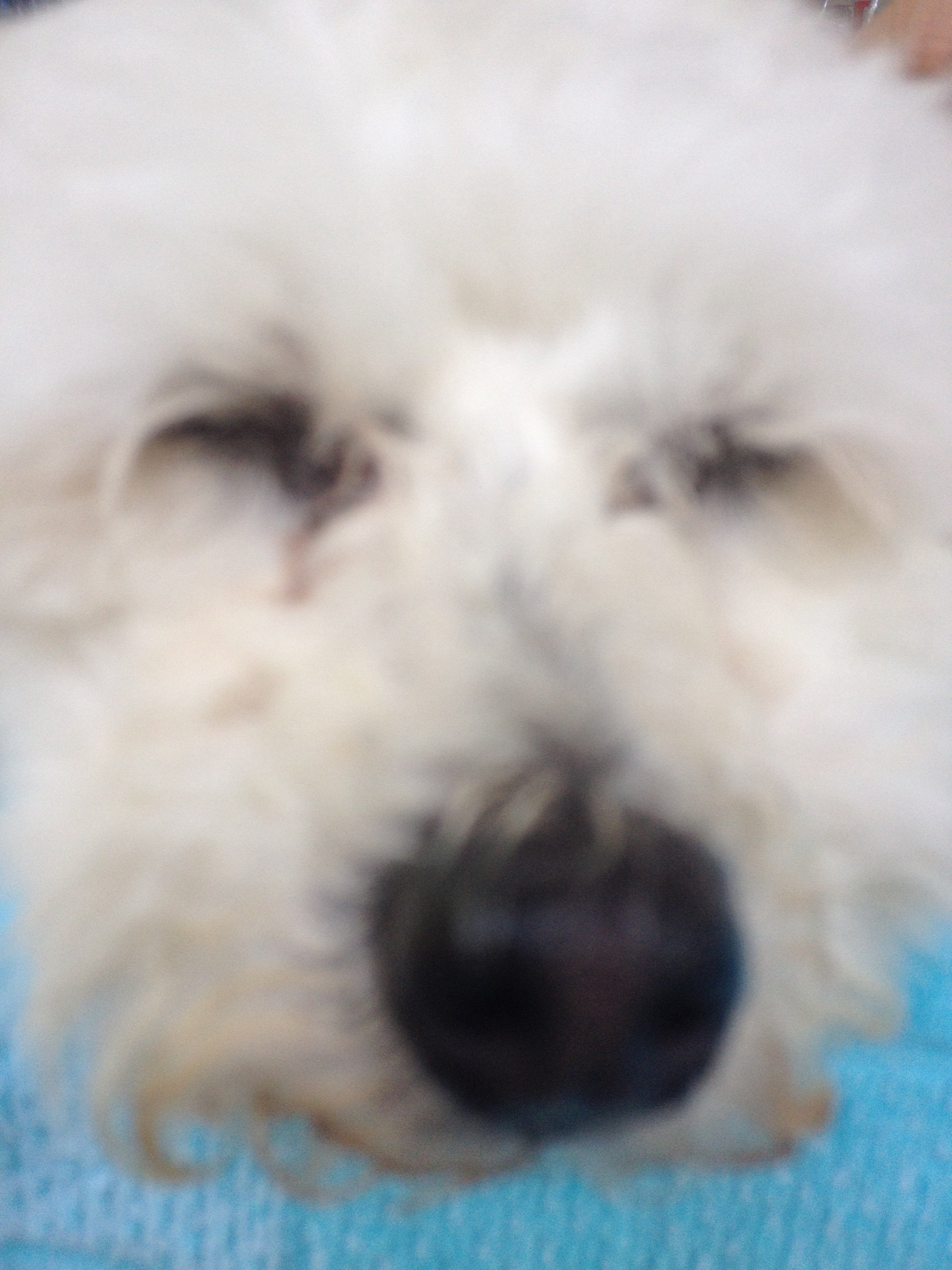 image.jpg