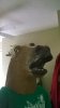 WP_20140714_001.jpg