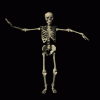 sp00ky.gif